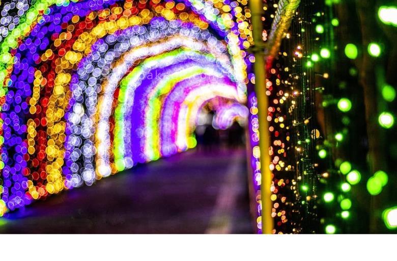 تفریحات تابستانی برای بزرگترها | سفرهای تابستانی | مکان های دیدنی | گردش های درون شهری